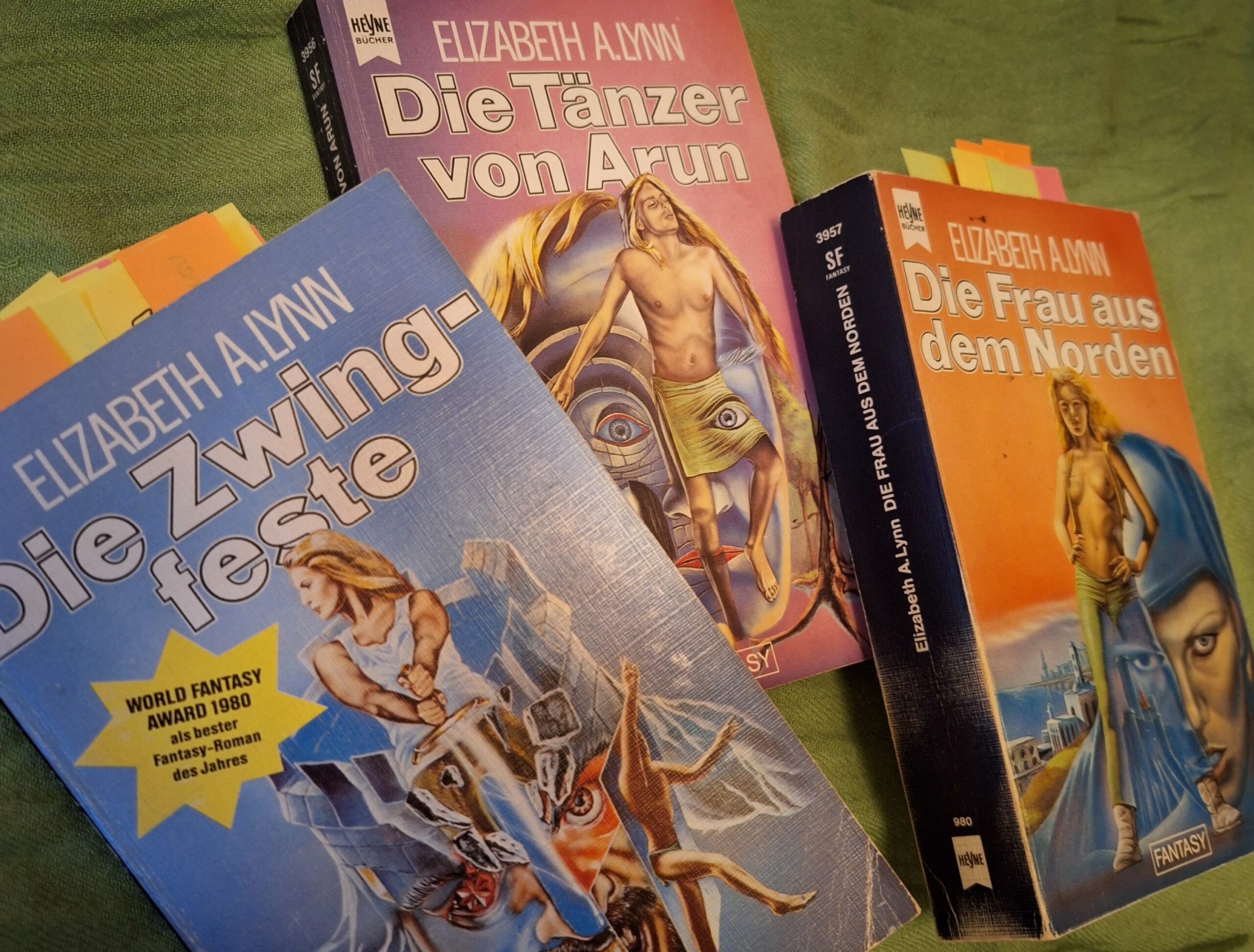 Klassiker-Reread: „Die Chroniken von Tornor“ von Elizabeth A. Lynn (2/2)